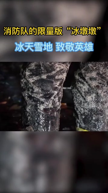 电影《雪地英雄》_国语译制片雪地英雄_雪地英雄