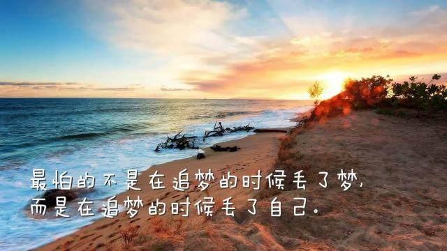 哈利波特这本书怎么样_高手故事_风云天下会攻略