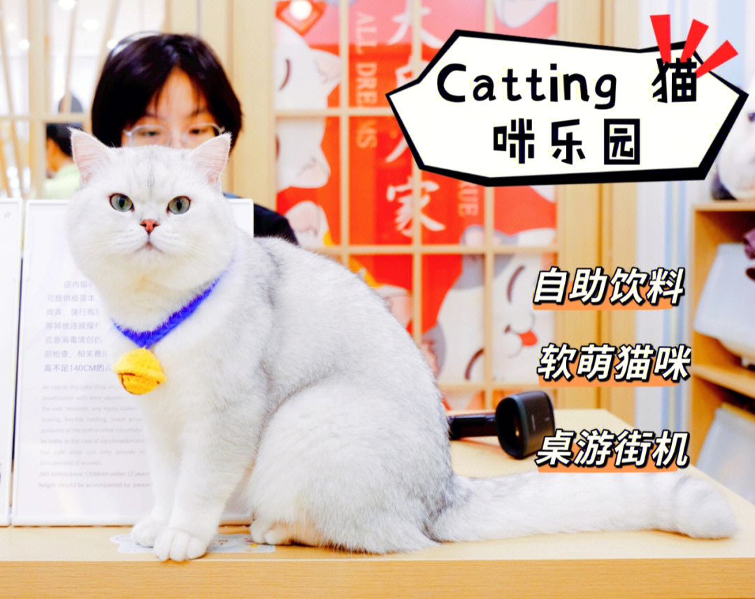 猫咪最新网站是什么多少_猫咪最新网站是什么多少_猫咪最新网站是什么多少