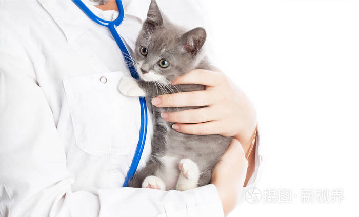 下载猫爪app_猫爪app_可可猫爪app
