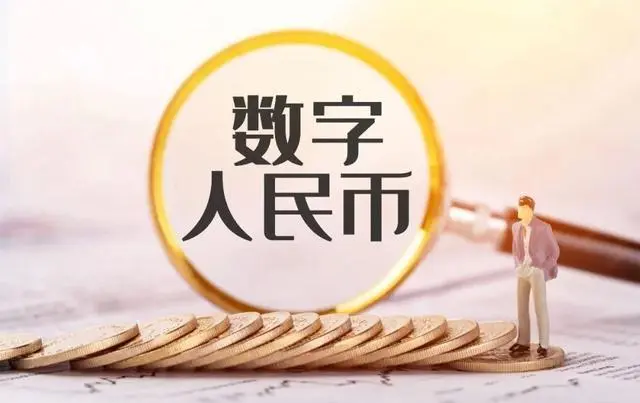 货币当局包括_当地货币是什么意思_当地货币