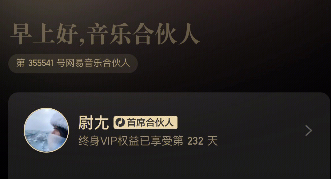 音乐合伙人揭秘：感受音乐的魅力与影响力