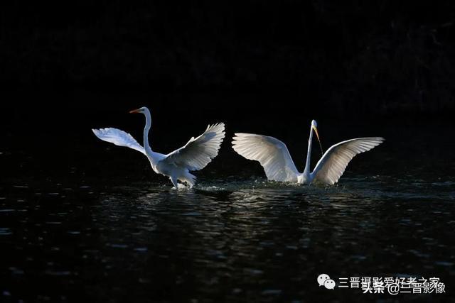 奶摸图片大全_摸奶图片_女同性恋摸奶无遮挡不雅图片