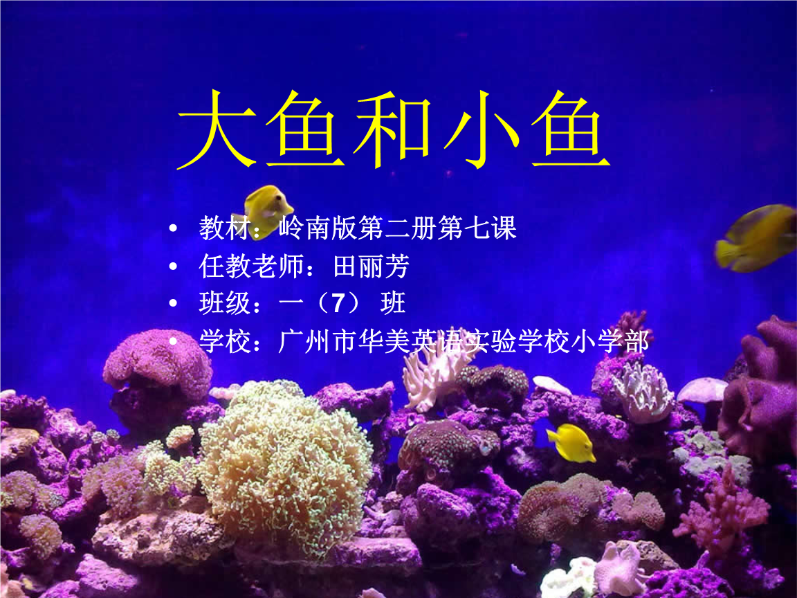 大鱼吃小鱼多人游戏_大鱼吃小鱼三人版_大鱼吃小鱼三人版无敌版