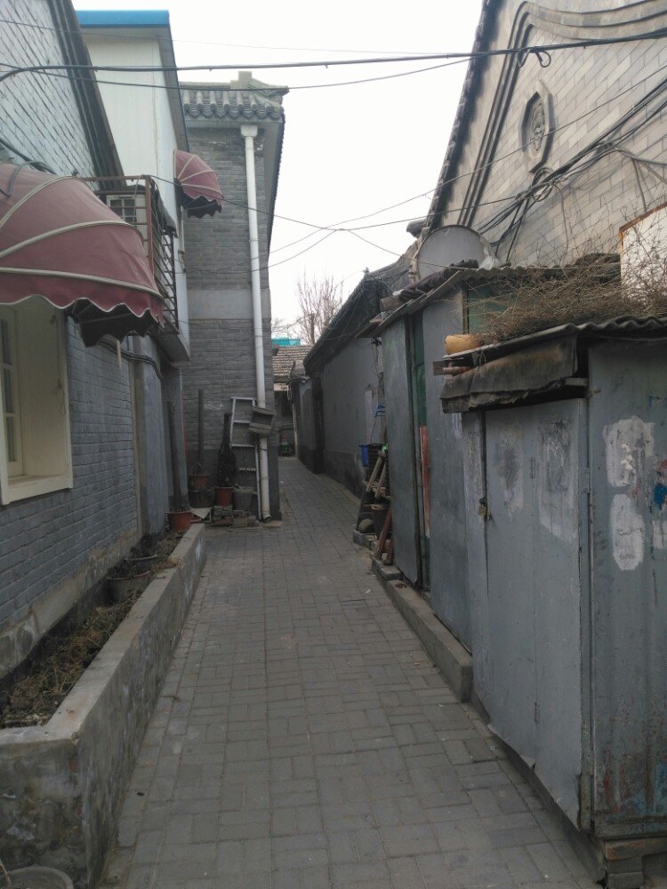 大耳帽兜2021_大耳朵帽兜_大耳帽兜