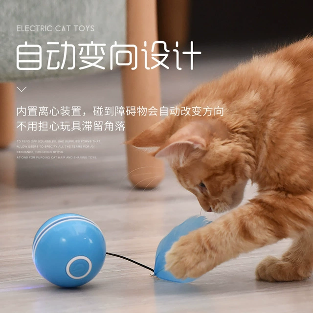 养只宠物球原版下载_养只宠物球_养个宠物球