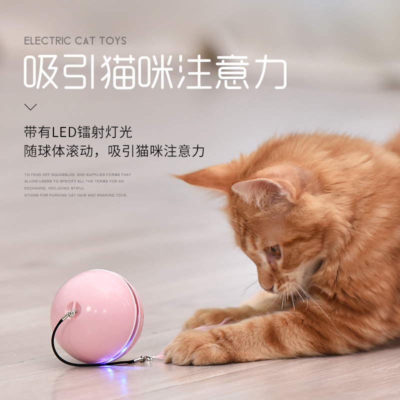 养只宠物球_养只宠物球原版下载_养个宠物球