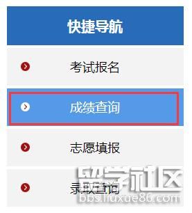 智学网成绩查询入口app下载学生版_查成绩在线登录学生端_学生查成绩网址