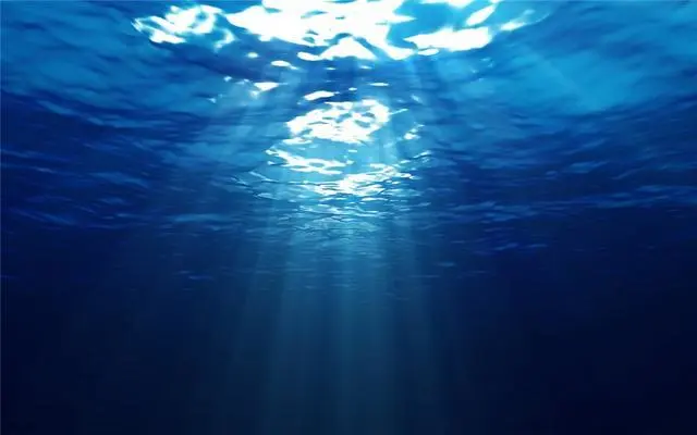 暗藻_暗藻_暗藻