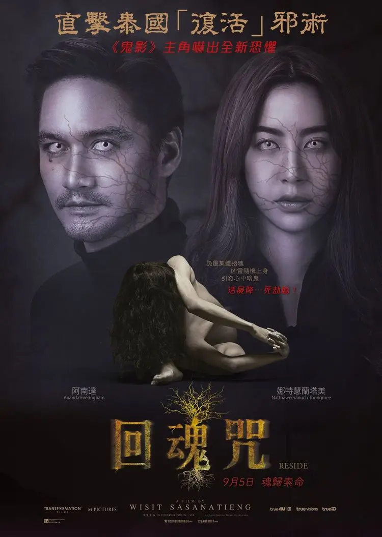 夜晚狂热，电影魅力无限