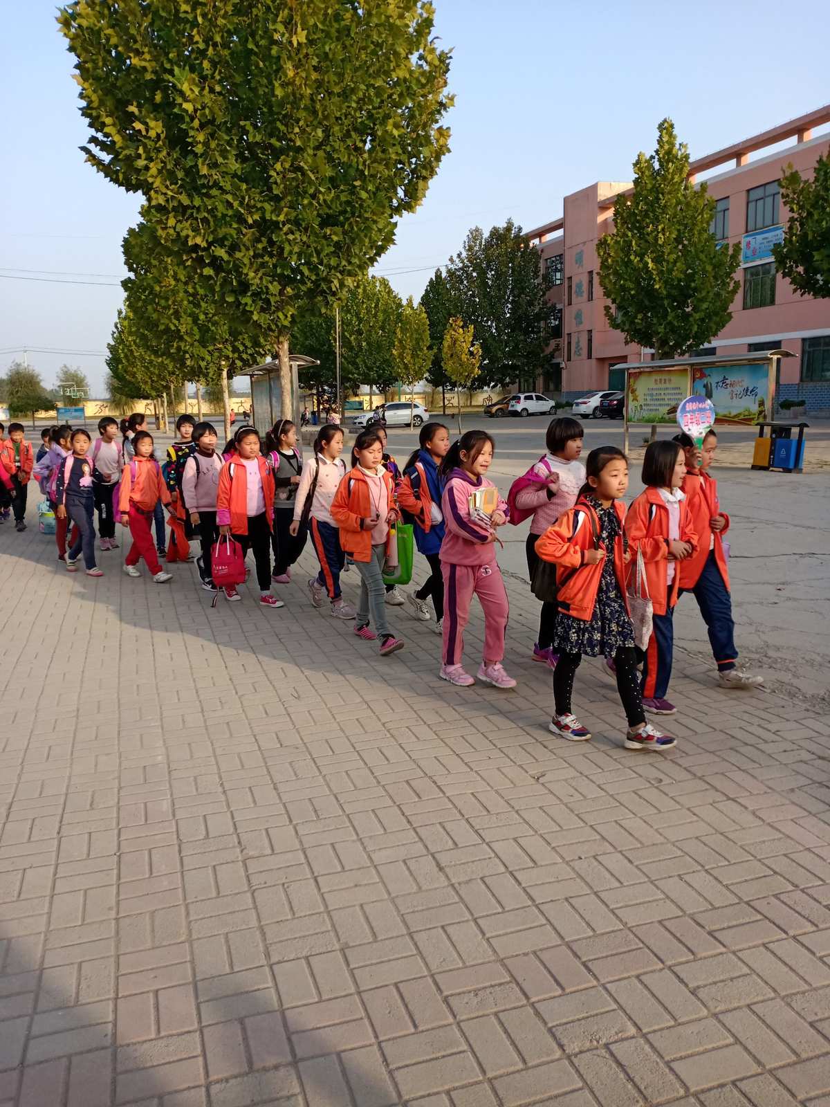 打个胶先_胶打一生肖是什么_胶排怎么做好吃
