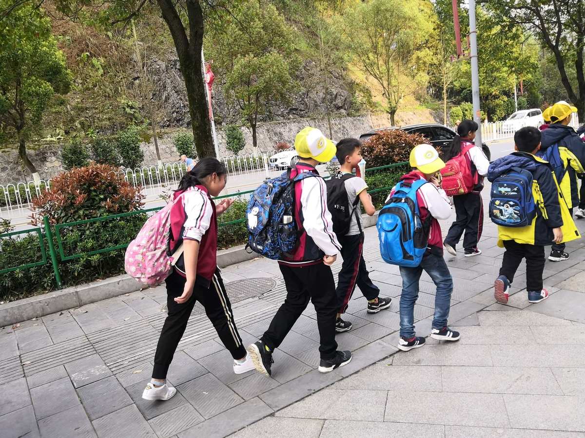 打个胶先_胶打一生肖是什么_胶排怎么做好吃