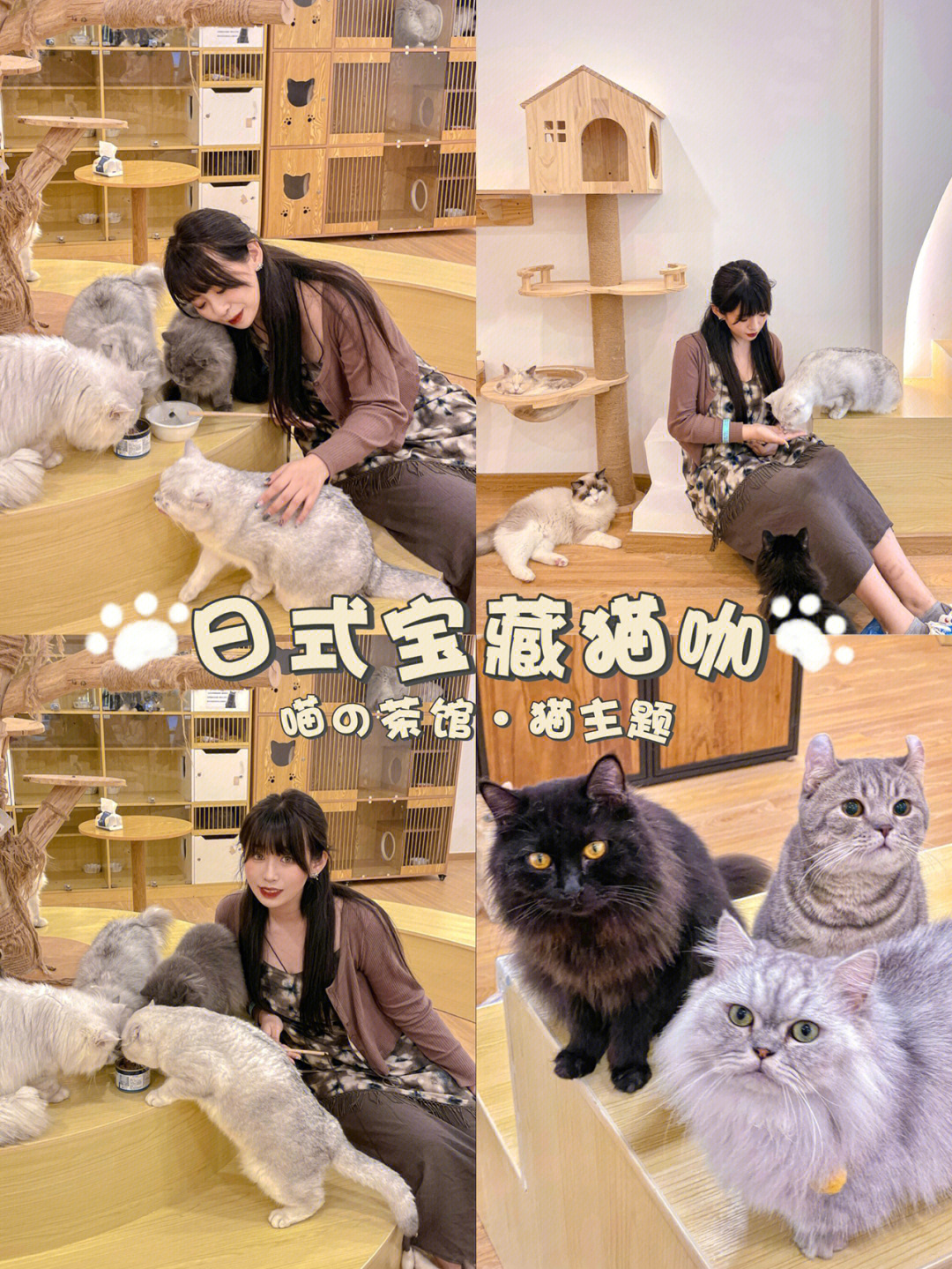 猫咪女游戏第二关：挑战猫咪造型大赛，速度竞赛开始了