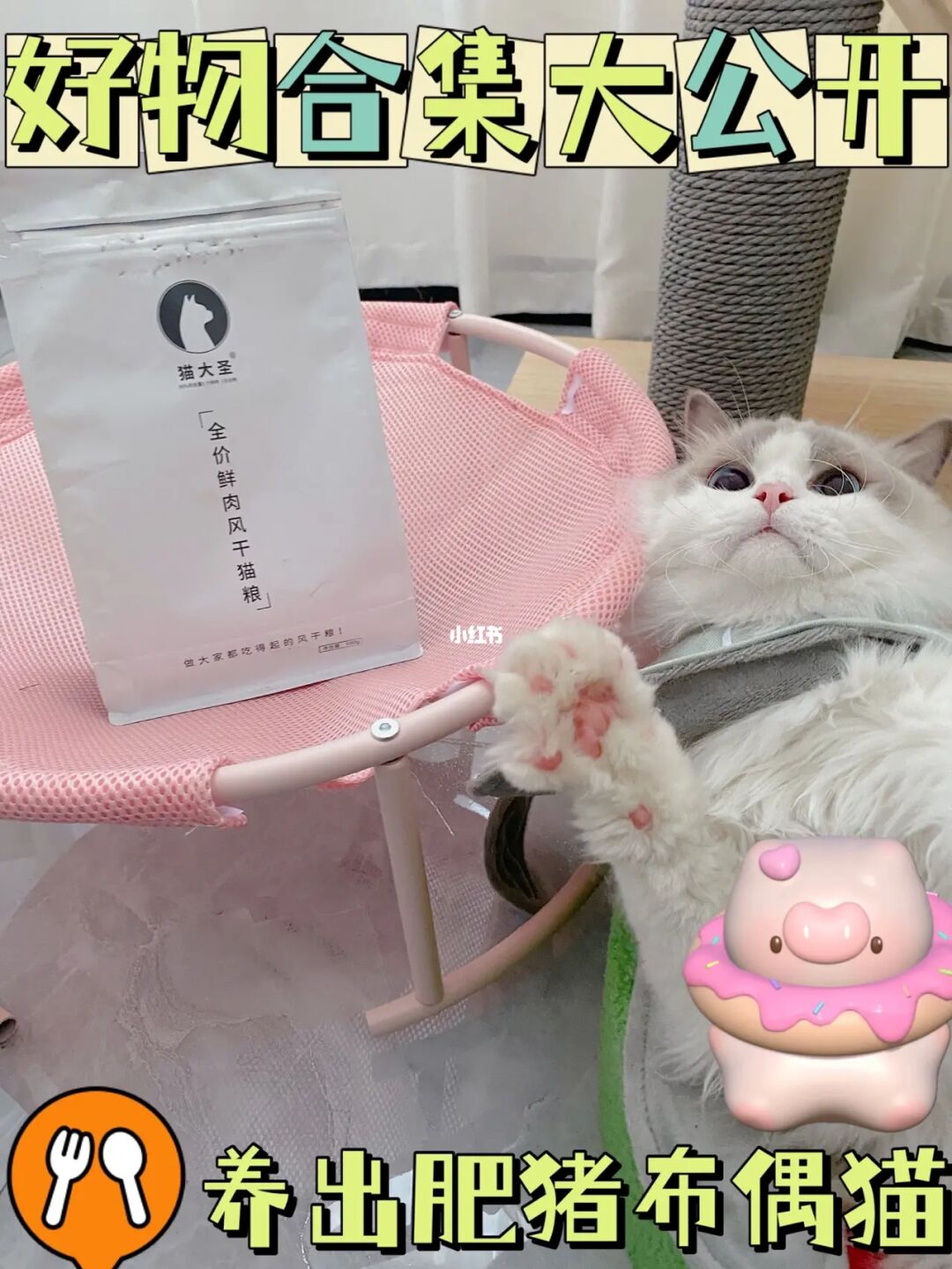 猫咪女游戏_猫女游戏手机版_猫女游戏
