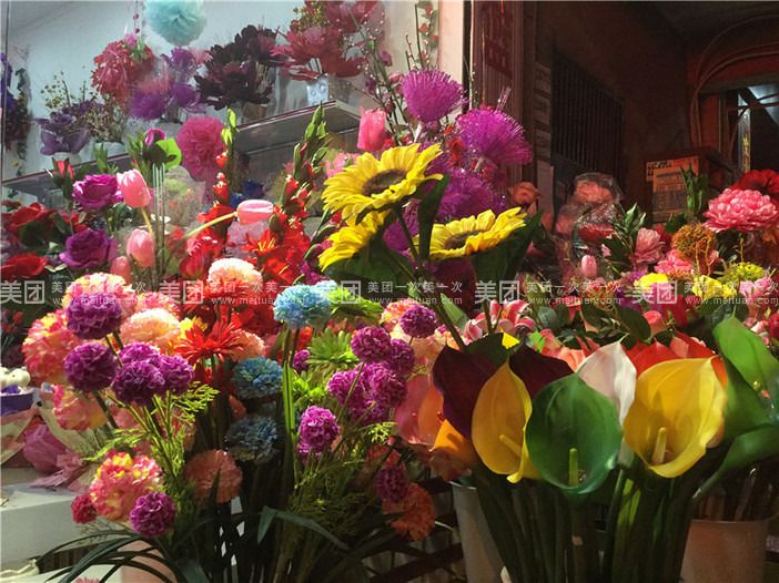 灵花个人资料_灵花图片_花之灵
