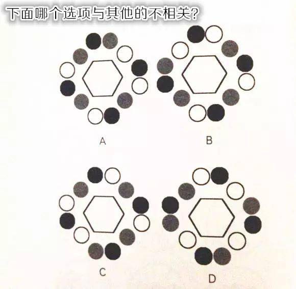 解谜手机游戏_解谜真实手机游戏大全_真实手机解谜游戏