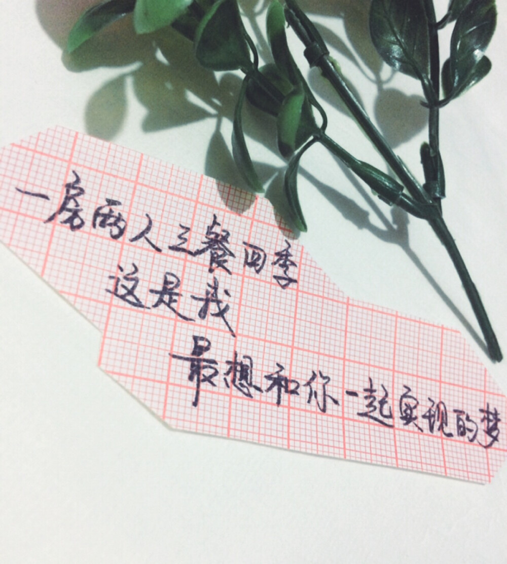 新浪微博_新浪微博官网_新浪微薄