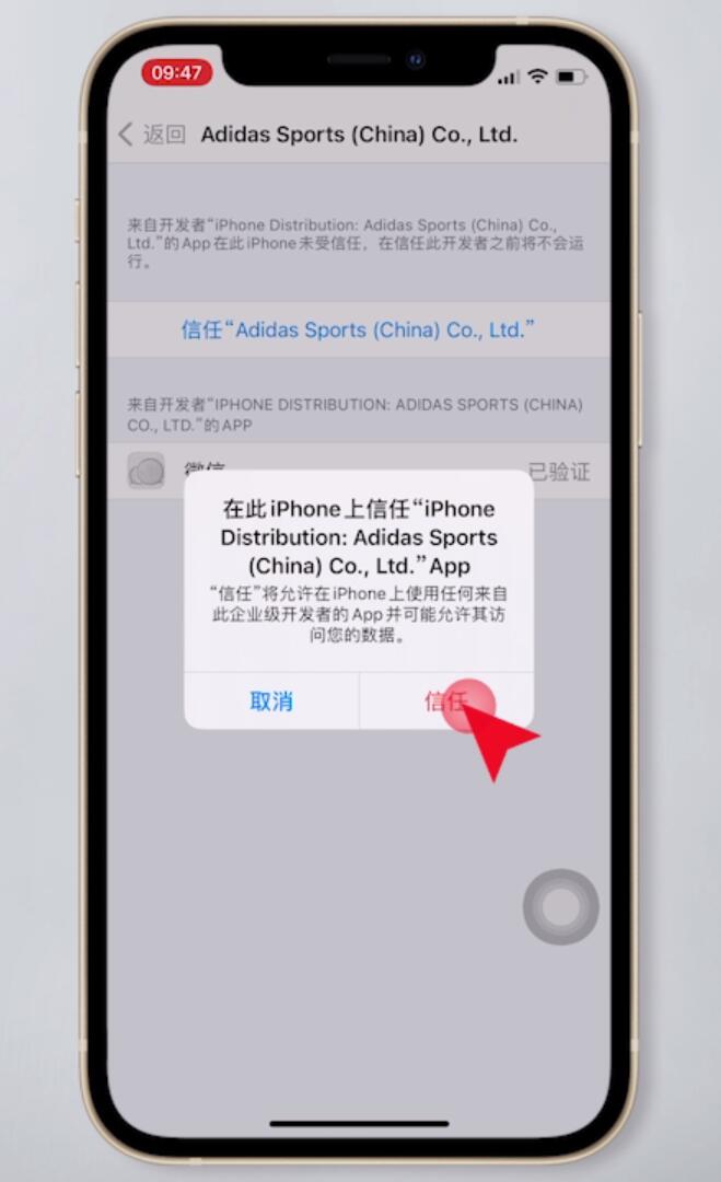 iphone授权信任_授权信任苹果设置什么意思_苹果授权信任怎么设置