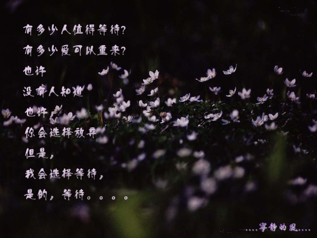 枕边凶灵_枕边凶灵在线观看完整版免费_枕边凶灵国语版在线观看