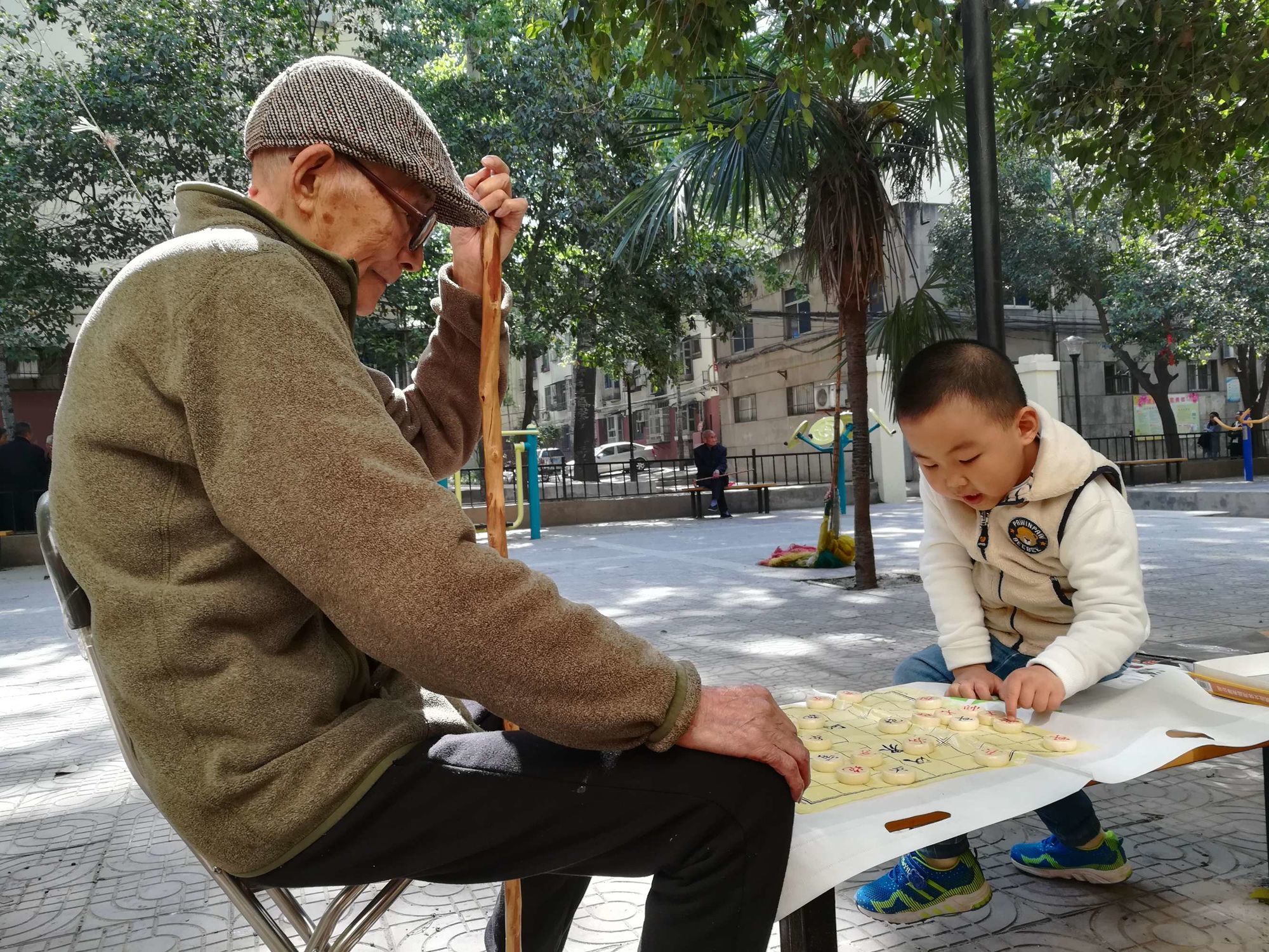 老年人下象棋的软件_下棋老年人_手机与老人下棋游戏