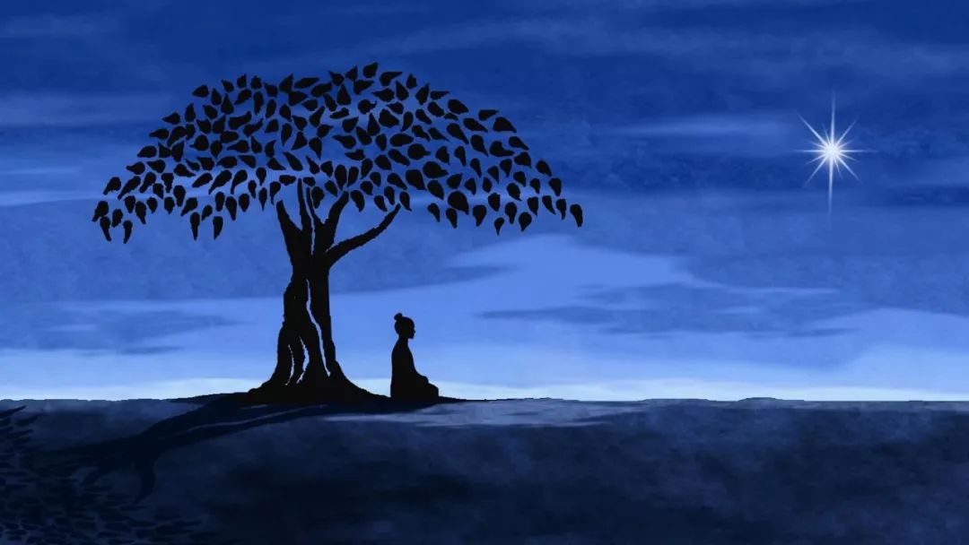 禅月什么意思_桃华月禅下载_桃华月禅