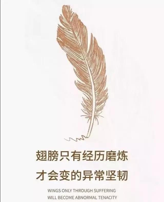 解放者_解放者_解放者