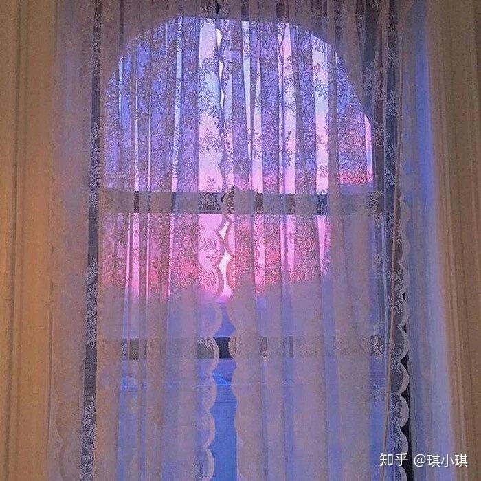 猫头鹰白色的是什么品种_猫头鹰白色的_白色猫头鹰