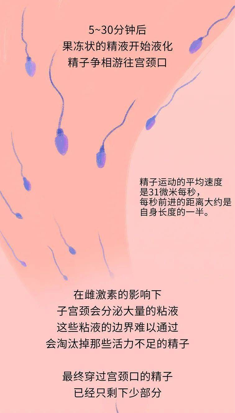 白金精一_白金精一技能_白金精子