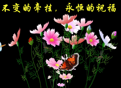 卡通中国龙图片可爱呆萌_卡通中国龙_中国卡通