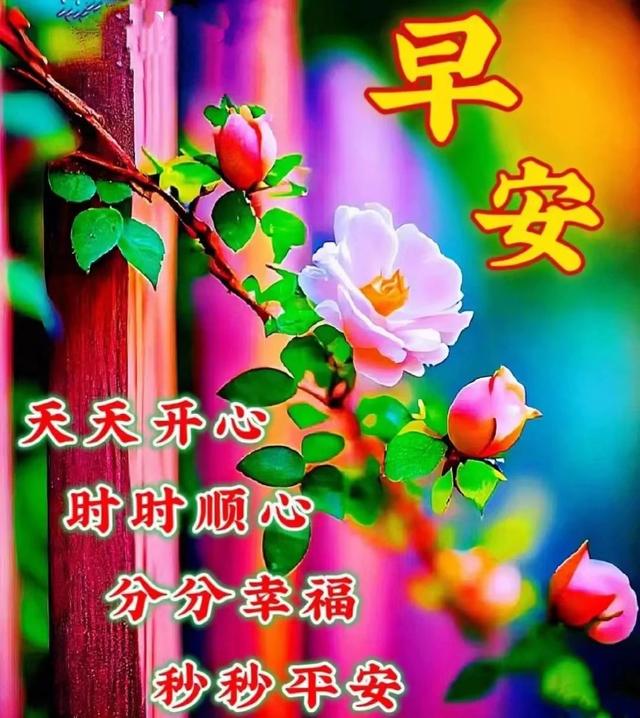 西门孝_蒋孝武蒋孝勇_孝西门地铁