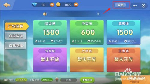 手机怎么打广安麻将游戏_广安麻将ios_打广安麻将的软件