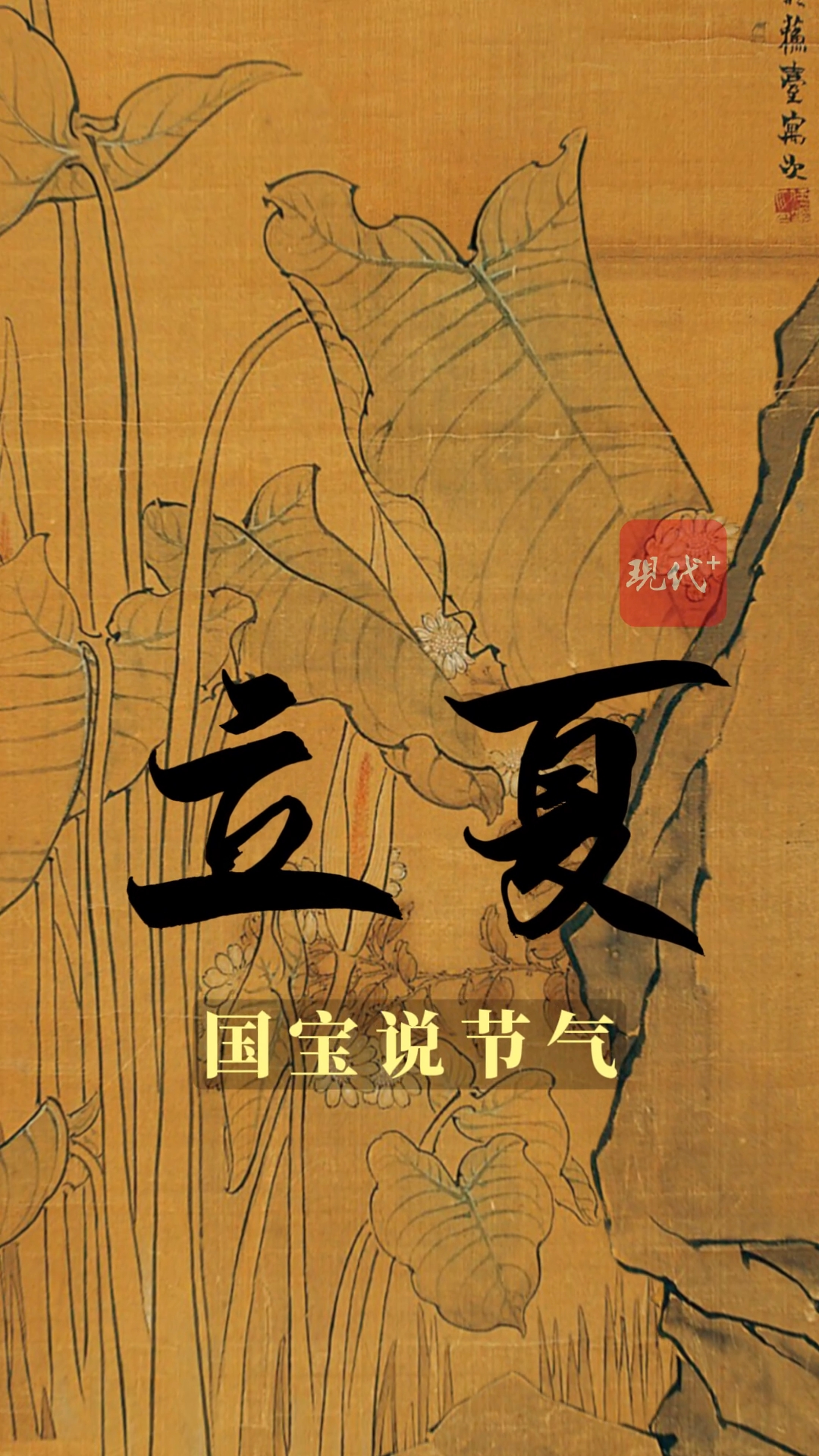 2023立夏_2023立夏_2023立夏