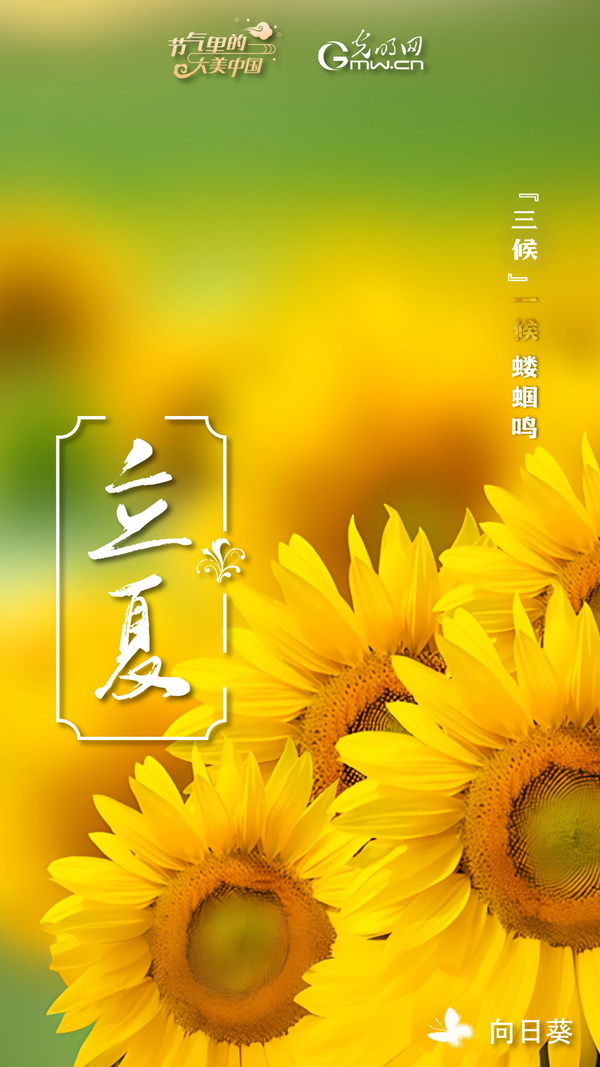 2023立夏_2023立夏_2023立夏