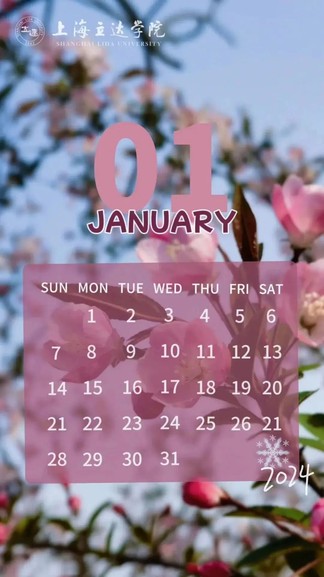 日历2024年日历表全年_日历2024_日历2024年黄道吉日今天
