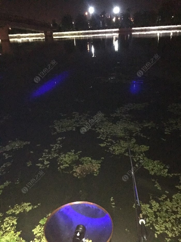 钓鱼夜钓之恐怖大事件_手机夜钓游戏_野钓游戏安卓版