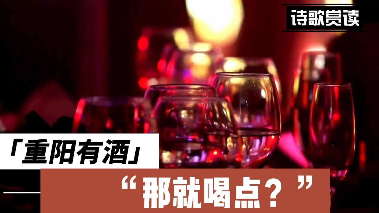 你的酒馆对我打了洋_洋酒吧效果图_你的酒馆对我打了洋