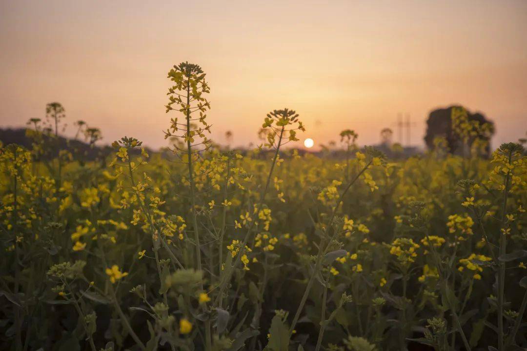 那年有润月年_2022年4月3日_月日年还是日月年