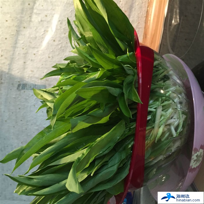 鲣鱼_鲣鱼刺身_鲣鱼木鱼花