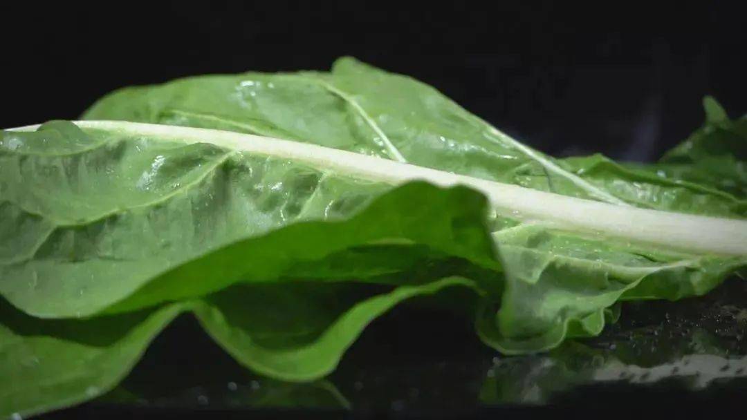 鲣鱼_鲣鱼木鱼花_鲣鱼刺身