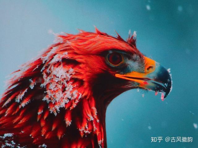电视能玩手机游戏吗_在电视上玩手游_手机玩游戏能连到电视上吗