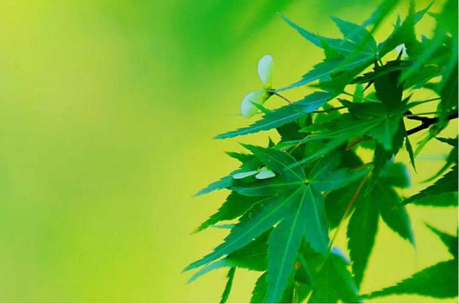朱利_利朱得乐的功效_辽阳石化朱景利调离