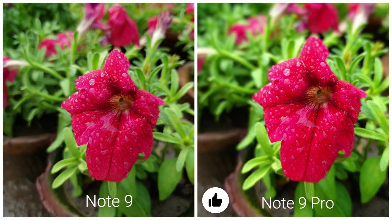 红米note9pro参数配置_红米note9pro防水吗_红米note9pro