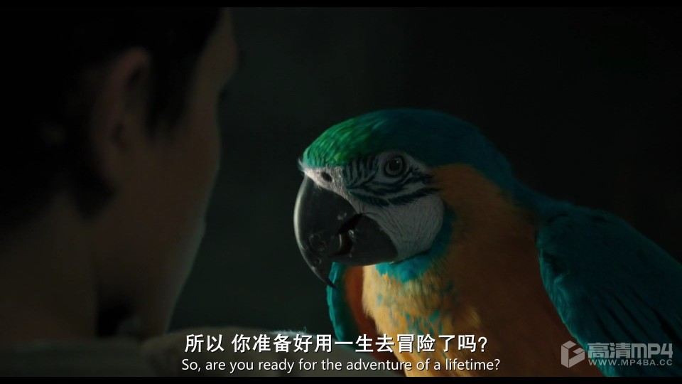多力特的奇幻冒险下载_奇幻历险记~v0.31_奇幻历险安卓