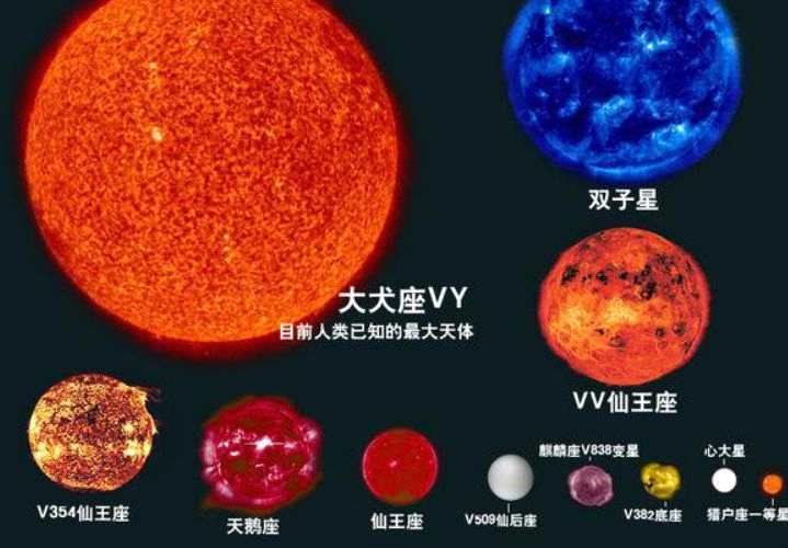 作用力强度_强相互作用力_作用力是什么
