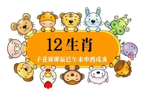 生肖大全表图片大全_十二生肖图片大全大图_生肖大全大图图片高清