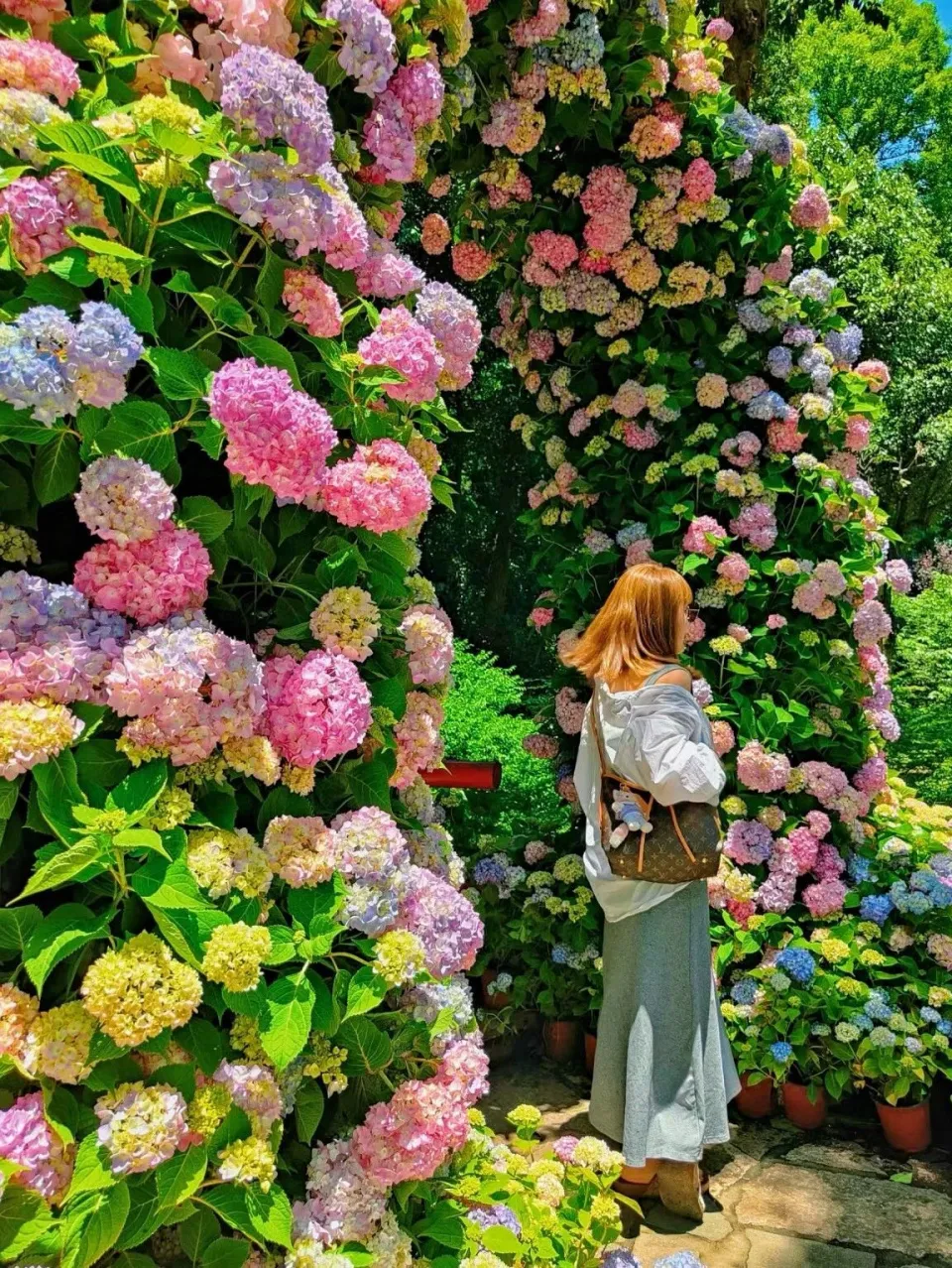 罗曼蒂克消亡史电影在线观看免费完整版_消亡的罗曼蒂克消亡史影评_消亡罗曼蒂克