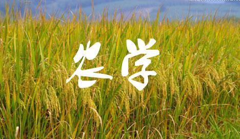 游戏发明专利_游戏专利_手机游戏专利有哪些
