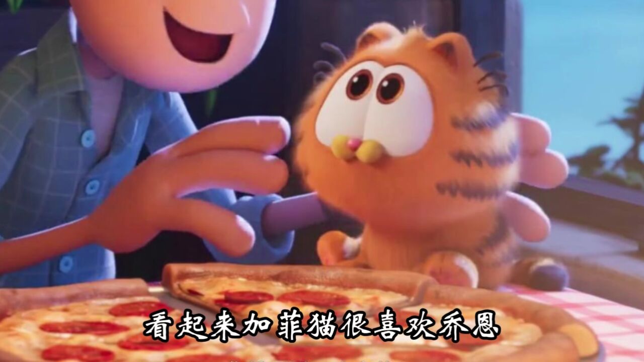 猫加菲魔术揭秘_加菲猫1_猫加菲猫图片