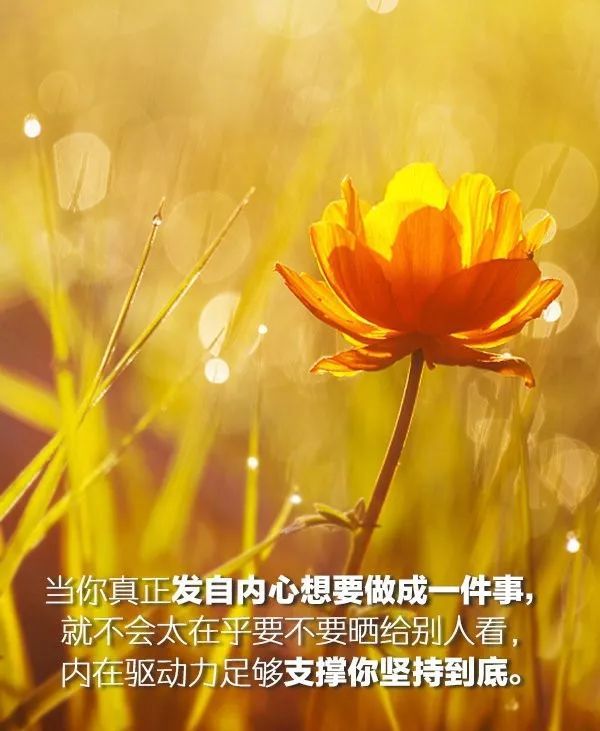 两仪和四象是什么意思_两仪阴阳气练法_两仪未那