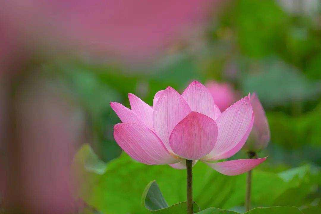 沙滩汽车游戏_沙滩车有什么用_手机玩沙滩车游戏软件